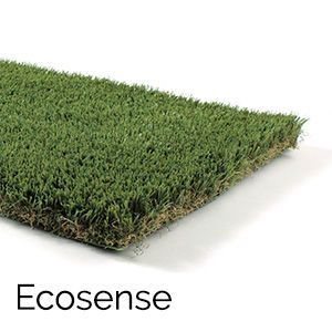 Ecosense